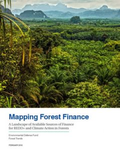 Mapping forest finance: a landscape of available sources of finance for REDD+ and climate action in forests